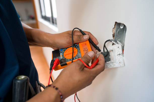 Best Electric Panel Repair  in Iowa Falls, IA