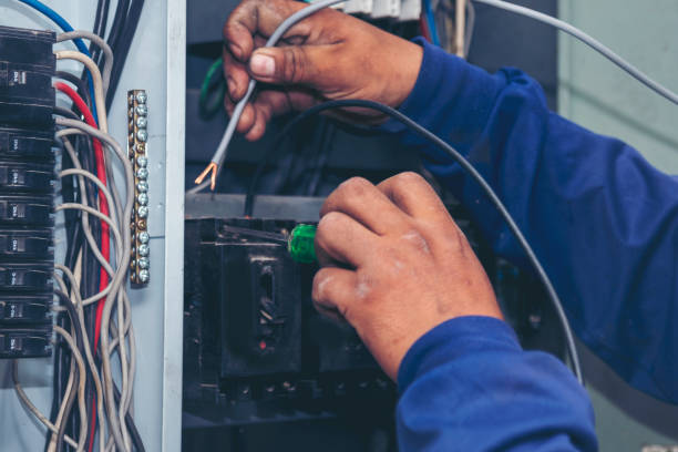 Best Electrical Repair Services  in Iowa Falls, IA